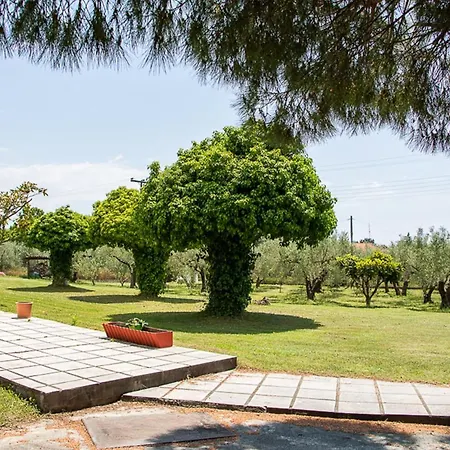 Olivemare Holidays דירה ניאה אירקליה