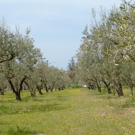 شقة Olivemare Holidays نيا إيراكليا