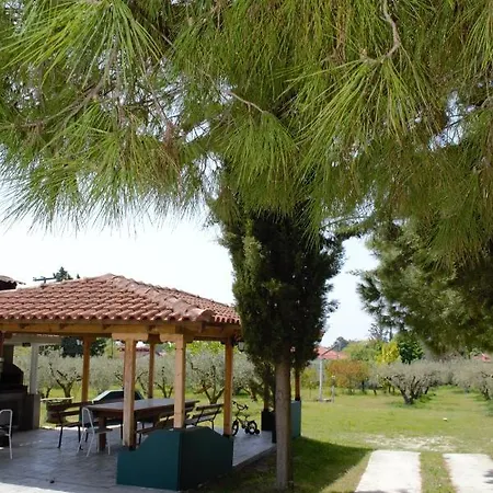 Olivemare Holidays