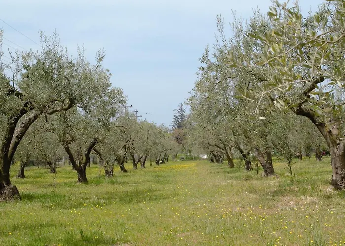 Appartement Olivemare Holidays Nea Iraklia