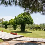 Olivemare Holidays Apartamento Néa Iráklia